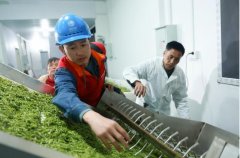 茶企負責人無需跑營業廳、查服務電話